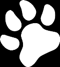 Paw print transition slide decoration