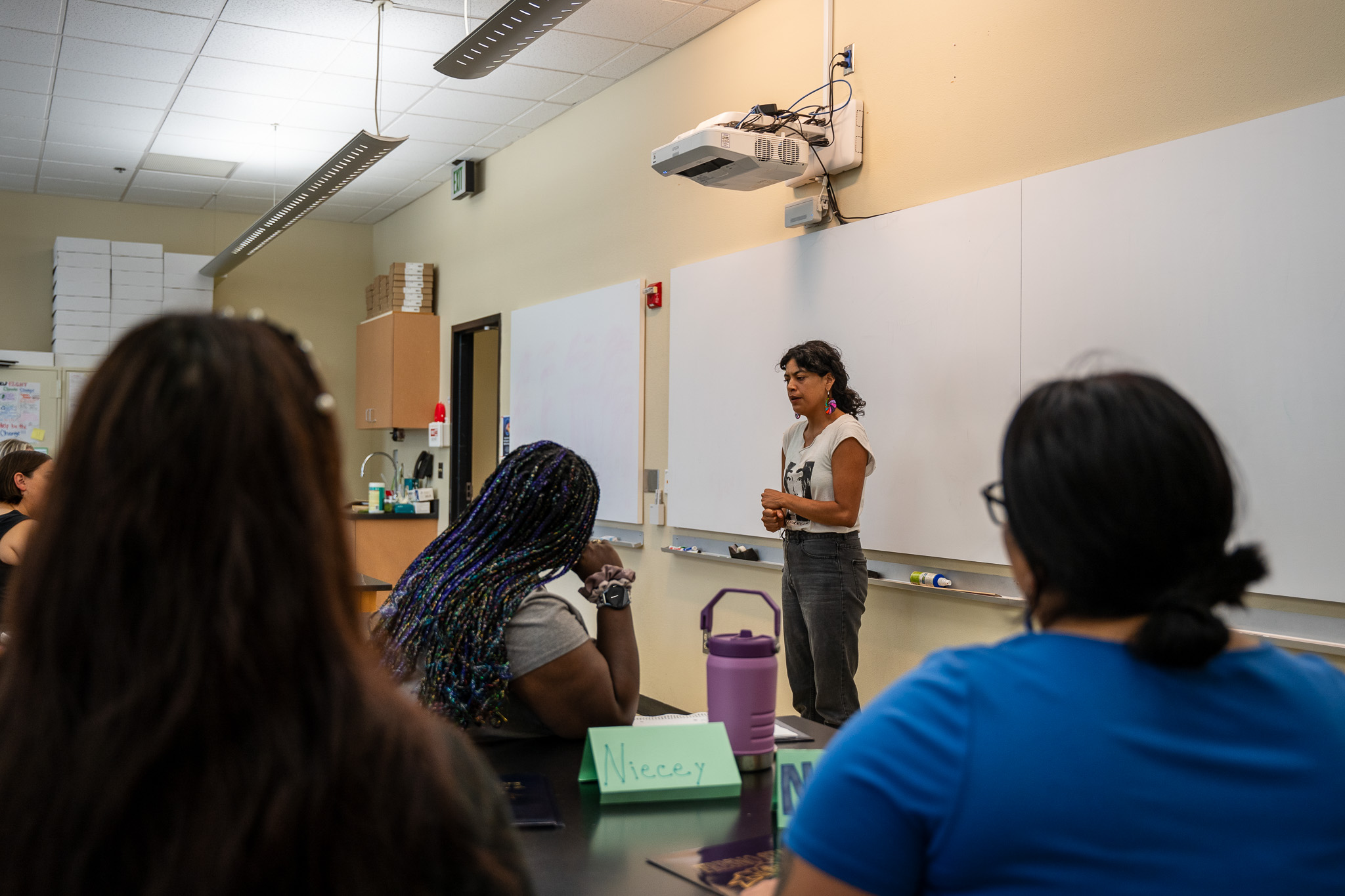 Professor Presenting 