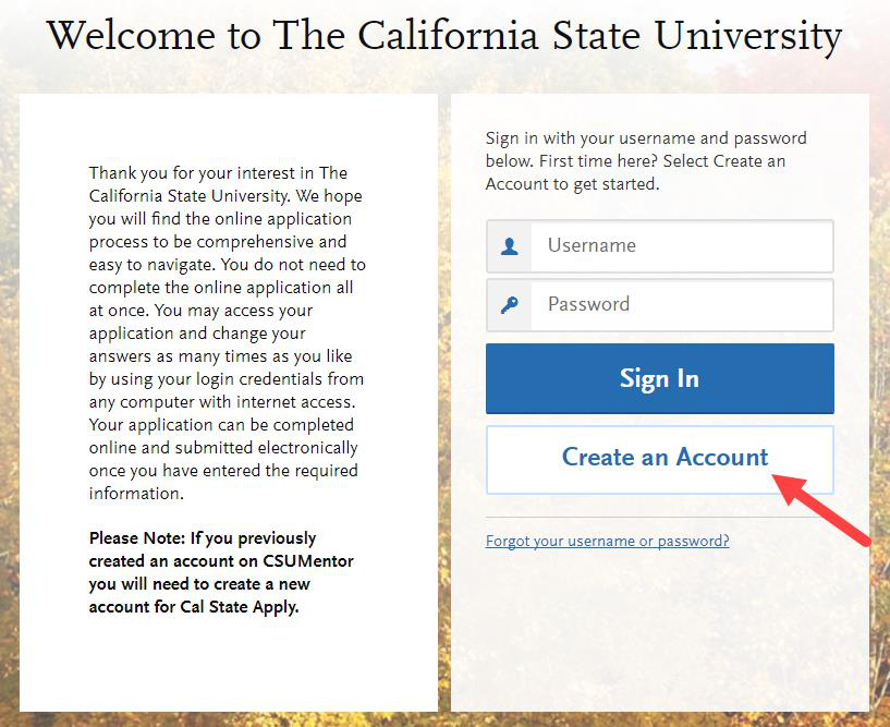 Create an Account form with required fields and warning icon