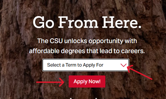Select a start term for Cal State App