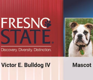 Student ID card with bulldog photo